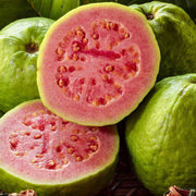 Red Guava Seeds