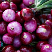 Red Onion Seeds - All In One For Home Gardens