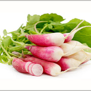 Red White Radish Seeds
