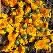 Resina Calendula Seeds