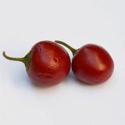 Red Manzano Rocoto Pepper Seeds