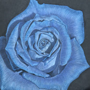 Light Blue Osiria Rosa spp. Seeds