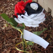 Red Seeds, White & Black Mix Rosa spp.