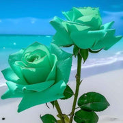 Sea Green Rosa spp. Seeds