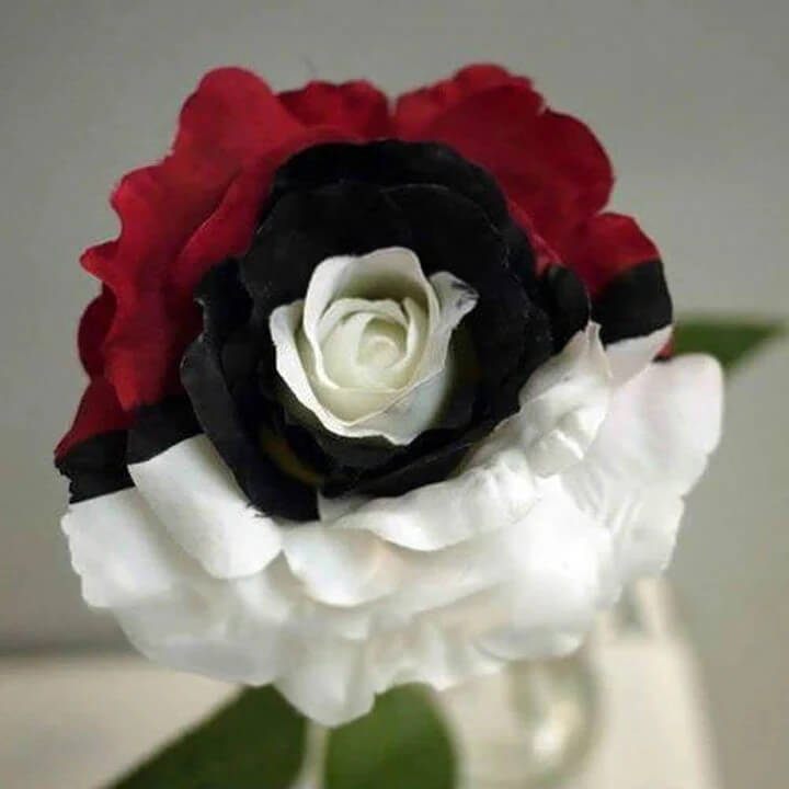 Red Seeds, White & Black Mix Rosa spp.