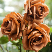 Brown Rosa spp. Seeds
