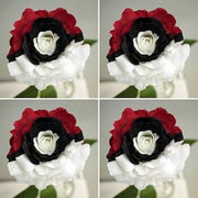 Red Seeds, White & Black Mix Rosa spp.