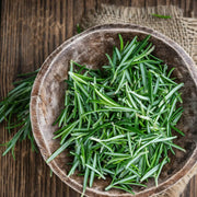 Rosemary Seeds - Herbal Plant for Home Gardens Seeds