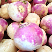 Amerikanische Lila Top Rutabaga Seeds