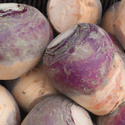 Brown Purple Rutabaga Seeds