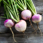 Purple White Rutabaga Seeds