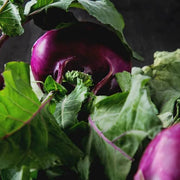 Rutabaga Seeds - All In One For Home Gardens
