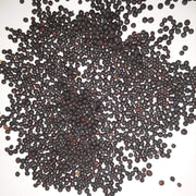 Rutabaga Seeds - All In One For Home Gardens