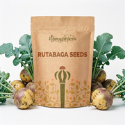 Rutabaga Seeds – Brassica napus