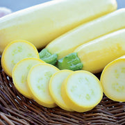 Straightneck Squash Seeds