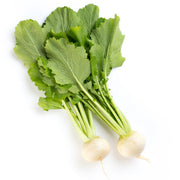 Sakurajima Mammoth Radish Seeds