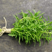 Winter Savory Seeds, Herbal