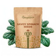 Savoy Spinach Seeds – Spinacia oleracea 'Savoy'