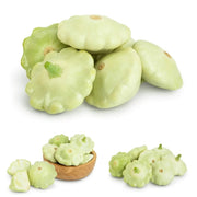 Green Scallop Seeds