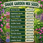 Shade Garden Mix Seeds