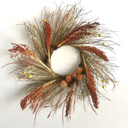 Broomcorn Seeds - Herbal Seeds