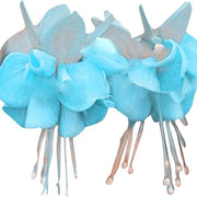 Sky Blue Fuchsia Seeds - Flower Plant
