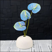 Sky Blue Yellow anthurium Seeds