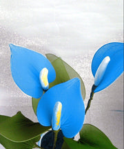 Sky Blue Yellow anthurium Seeds