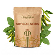 Soybean Seeds – Glycine max