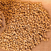 Brown Soybean Seeds