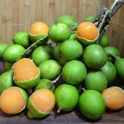 Lemon Sweet Spanish Lime Seeds