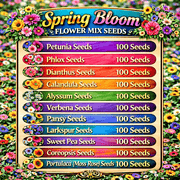 Spring Bloom Flower Mix Seeds