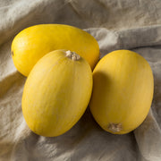 Spaghetti Squash Seeds