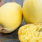 Spaghetti Squash Seeds