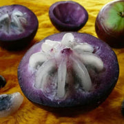 Purple Star Apple Seeds