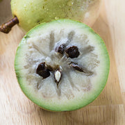 White Star Apple Seeds