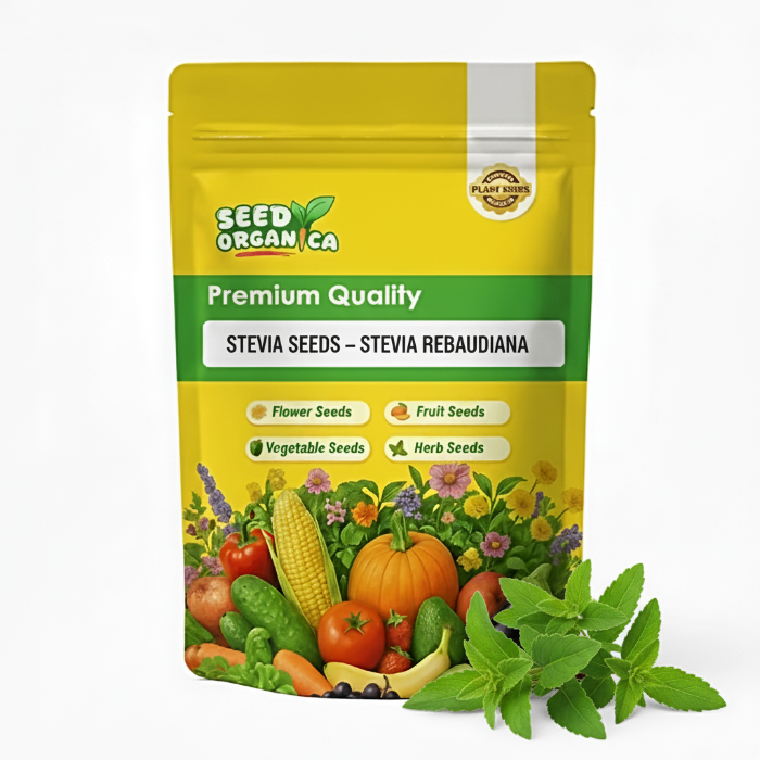 Stevia rebaudiana Stevia Seeds, Herbal