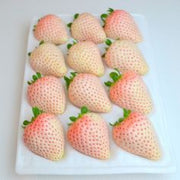 Bright Orange Strawberry Seeds