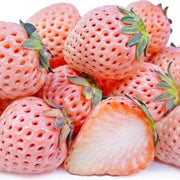 Bright Orange Strawberry Seeds