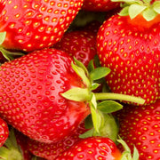 Ozark Beauty Strawberry Seeds