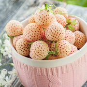 Pineberry Strawberry Seeds