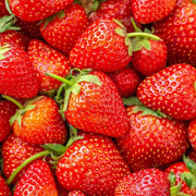 Red Strawberry Seeds