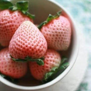 Rosy Pink Strawberry Seeds