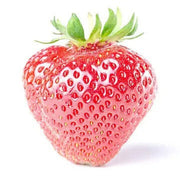 Rosy Pink Strawberry Seeds