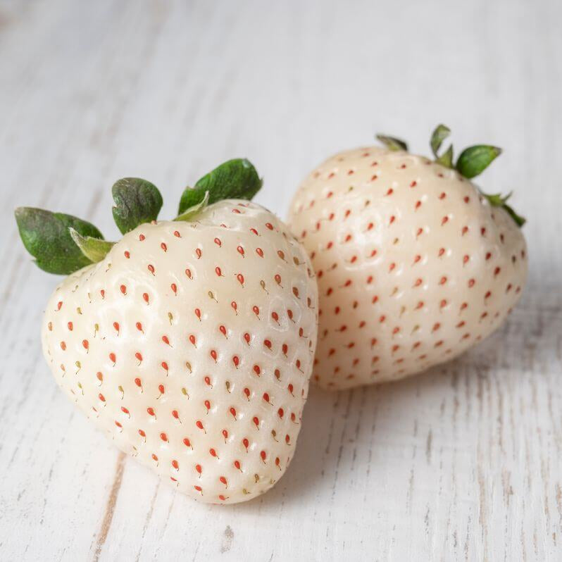 Pineberry White Strawberry Seeds