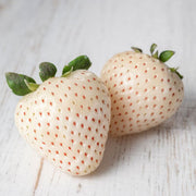 Pineberry White Strawberry Seeds
