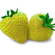 Yellow Strawberry Seeds
