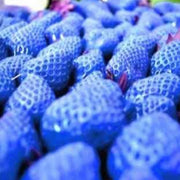Sky Blue Strawberry Seeds