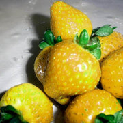 Yellow Strawberry Seeds
