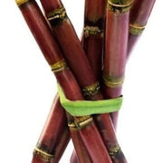Red Sugarcane Seeds